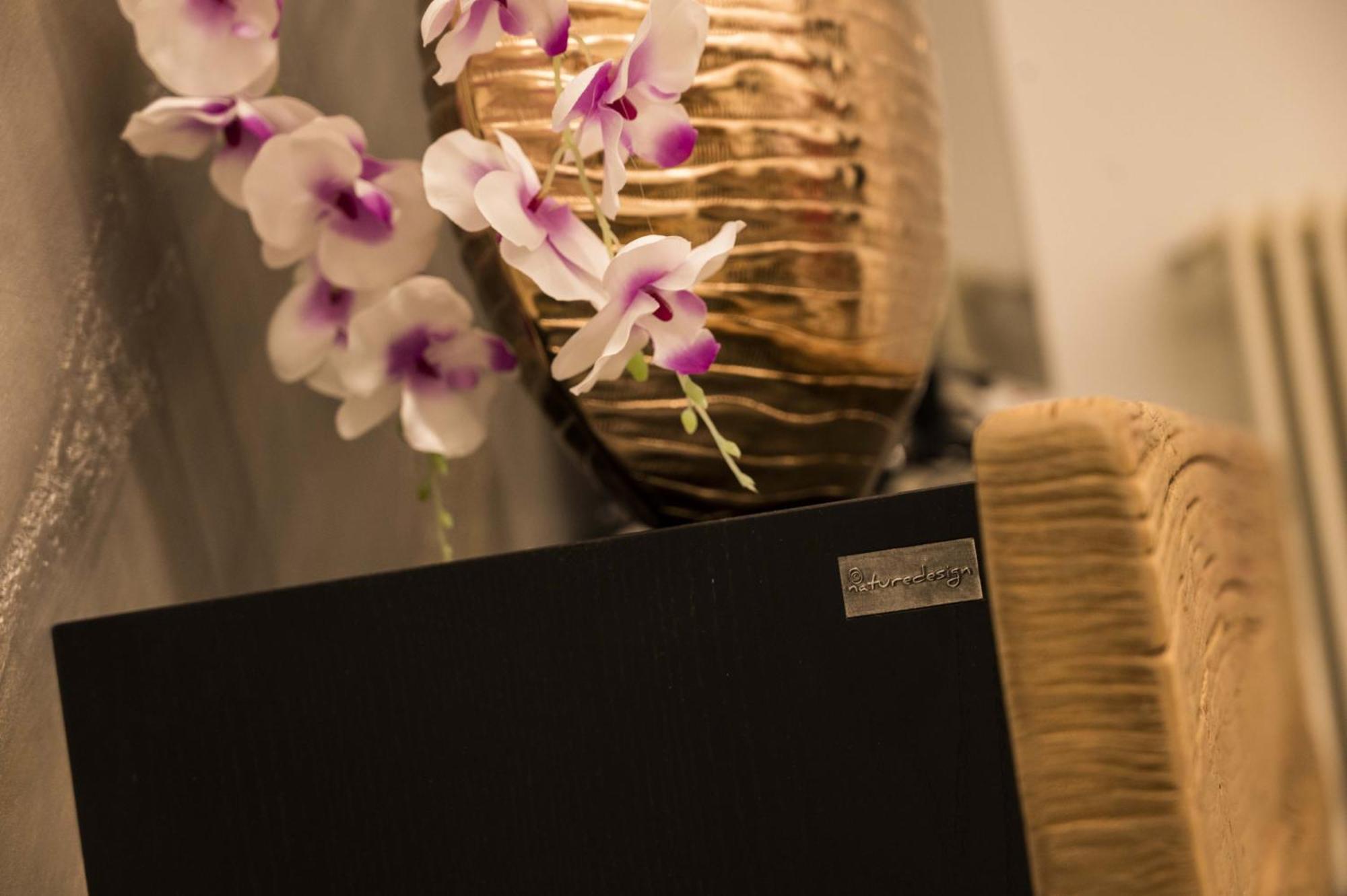 Panvinio 25 Apartment - Royal Welcome Verona Buitenkant foto